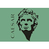Caesar Bagsværd
